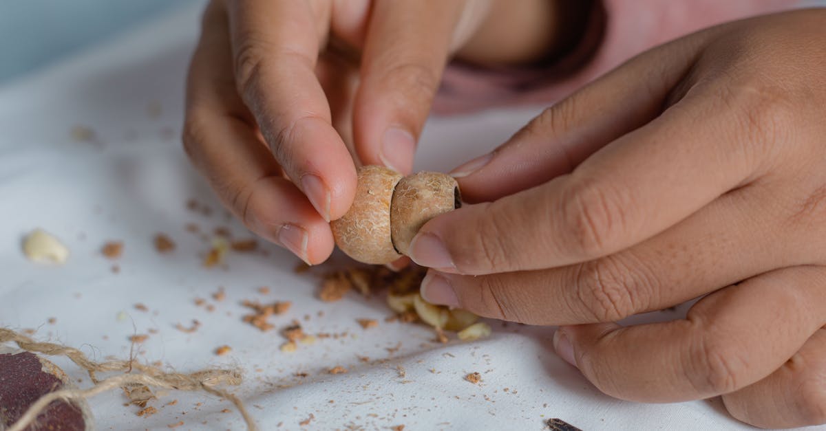 How to shell macadamias without a special tool? - Unrecognizable artisan fastening pieces of wood How to shell macadamias without a special tool? - Unrecognizable artisan fastening pieces of wood