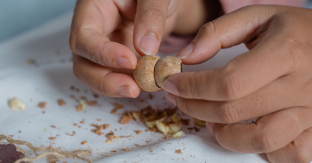 How to shell macadamias without a special tool? - Anonymous person fastening shells at table How to shell macadamias without a special tool? - Anonymous person fastening shells at table