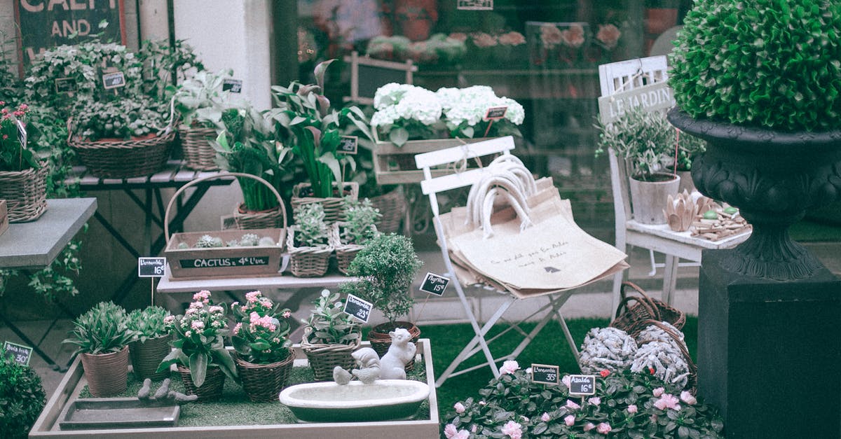 How to shop for a food processor capable of pulverizing plant material to a fine powder? - Collection of blooming plants in local shop How to shop for a food processor capable of pulverizing plant material to a fine powder? - Collection of blooming plants in local shop