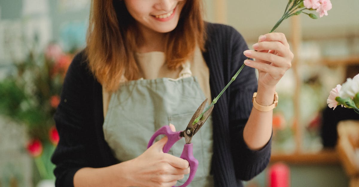 How to store cut potatoes for the morning? - Crop happy Asian florist cutting flower stem in floral store How to store cut potatoes for the morning? - Crop happy Asian florist cutting flower stem in floral store