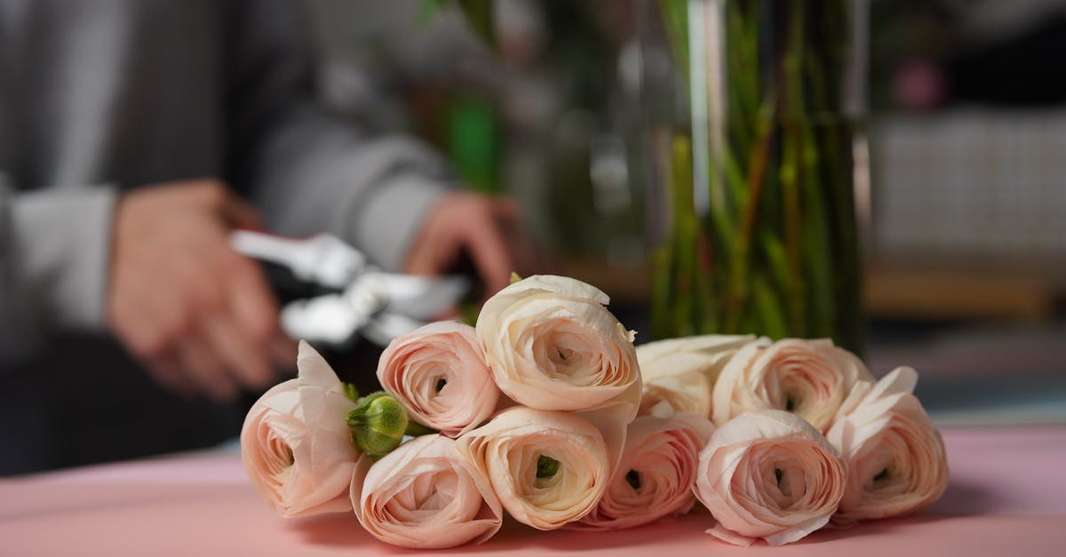 How to store cut potatoes for the morning? - Florist cutting flowers with instrument in workshop How to store cut potatoes for the morning? - Florist cutting flowers with instrument in workshop