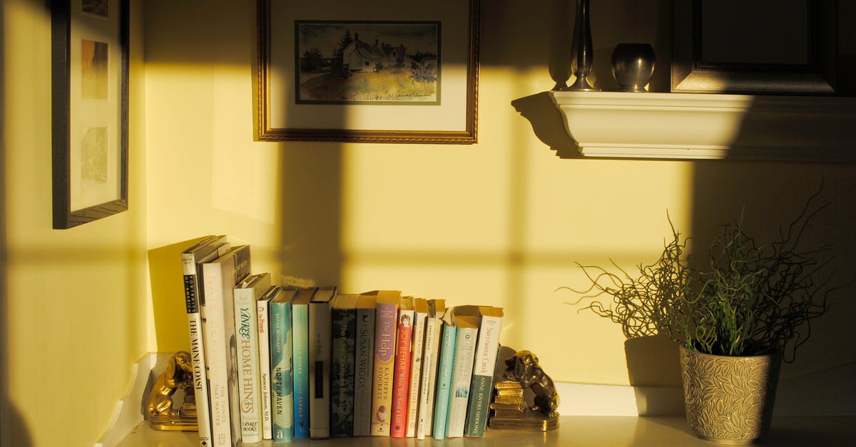 How to store live scallops? - Shelf with books souvenirs and verdant potted flower in room corner in sunlight How to store live scallops? - Shelf with books souvenirs and verdant potted flower in room corner in sunlight