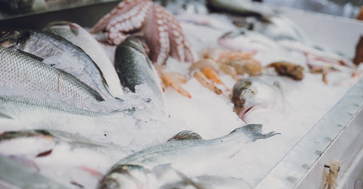 How to store smoked fish when traveling? - Photo of Raw Fish on Ice How to store smoked fish when traveling? - Photo of Raw Fish on Ice