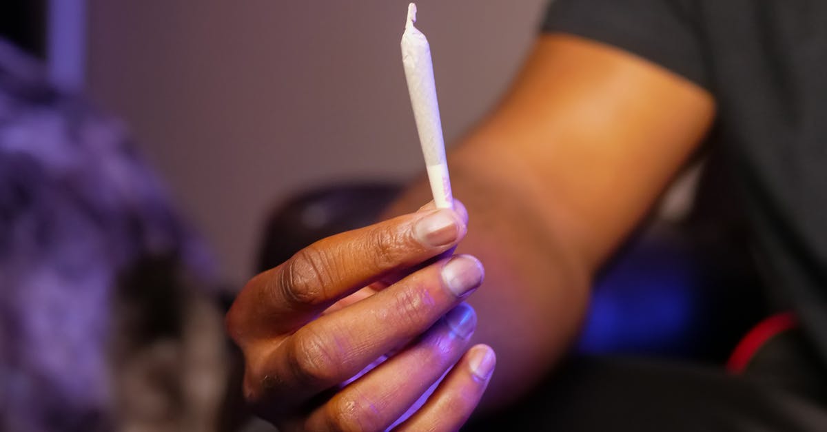 How to stuff bread puffs (Gougeres) - Photo of Person Holding Blunt Made of Weed How to stuff bread puffs (Gougeres) - Photo of Person Holding Blunt Made of Weed