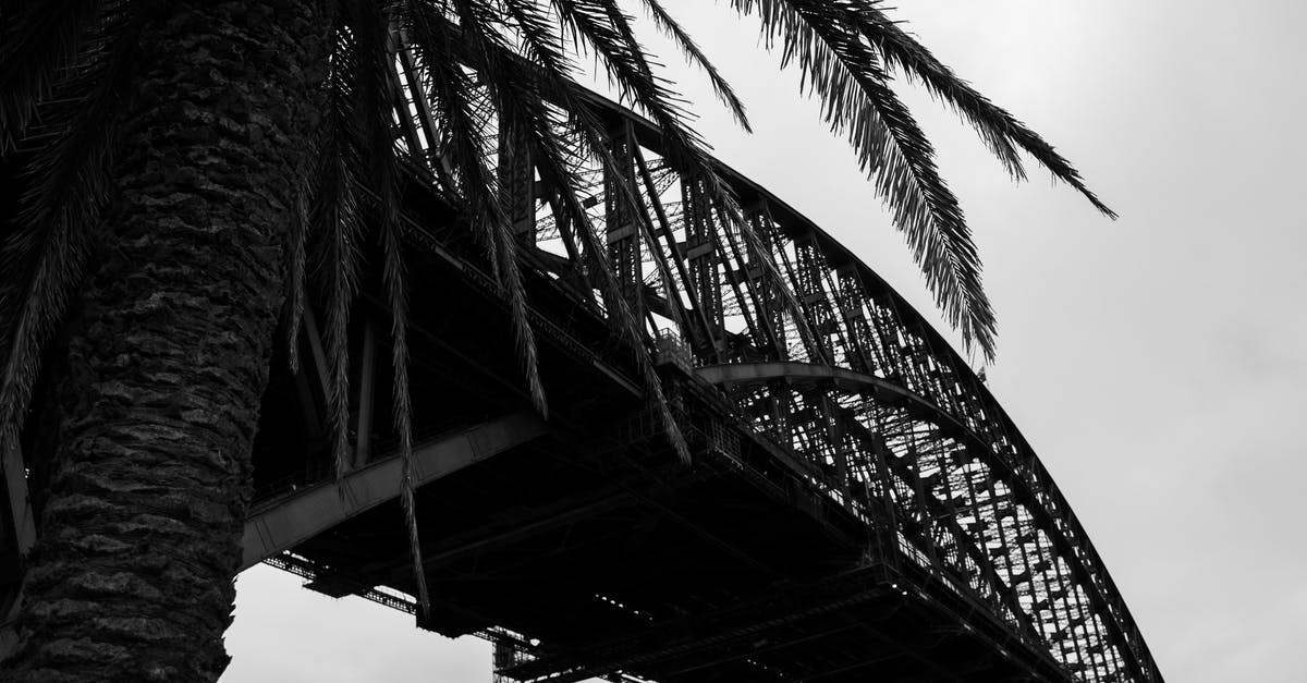 How to truss a chicken? - Modern massive arched bridge near palm on cloudy day