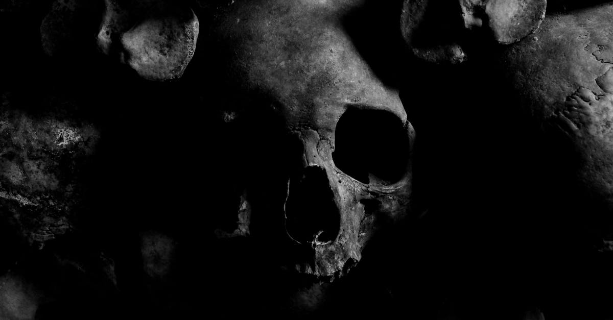 How to use Bones in Soups? - Close-up Photo of Skull How to use Bones in Soups? - Close-up Photo of Skull