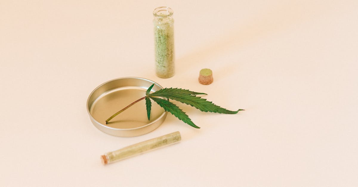 How to use herb extracts or essential oils in drinks - Green Vegetable on Clear Glass Jar How to use herb extracts or essential oils in drinks - Green Vegetable on Clear Glass Jar