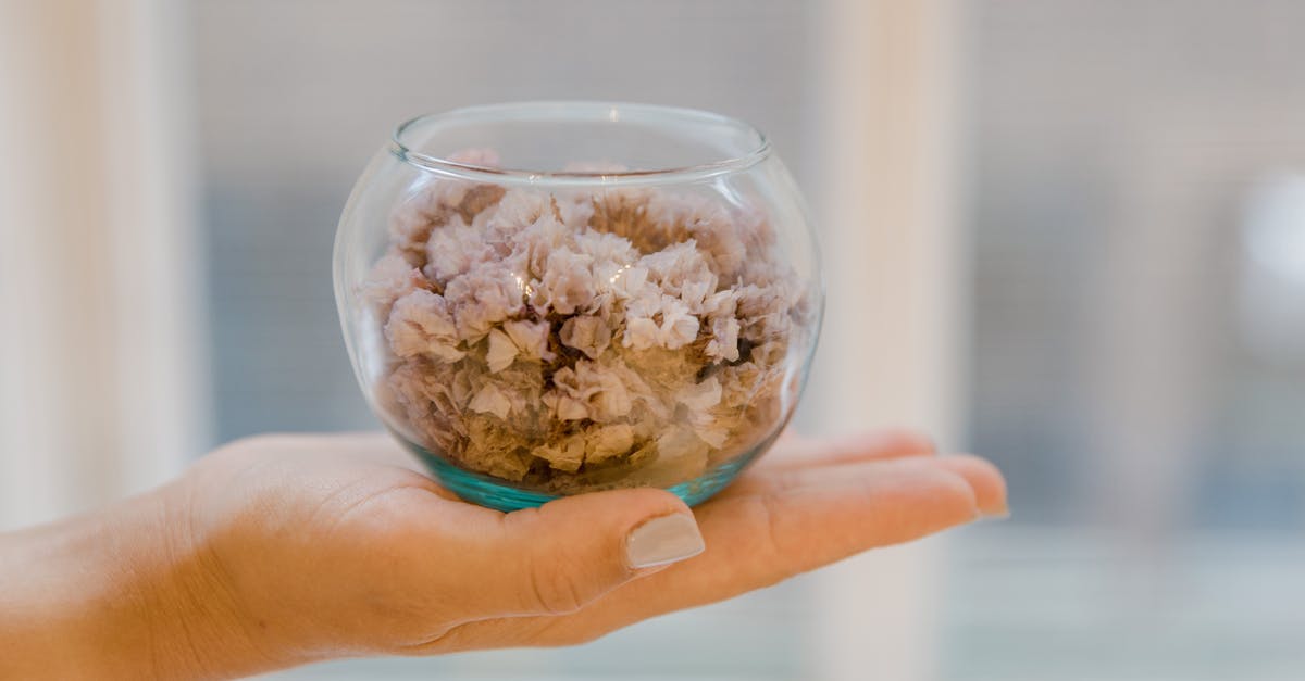 How to whip up a small quantity of Italian meringue? - Person Holding Clear Glass Bowl With Green Kush How to whip up a small quantity of Italian meringue? - Person Holding Clear Glass Bowl With Green Kush