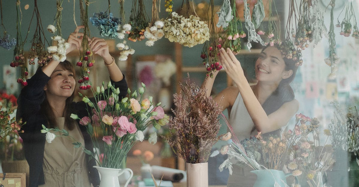How to work with Dried Mushrooms? - Through glass window of positive diverse florists decorating counter of cozy floristry store with various flowers in daytime How to work with Dried Mushrooms? - Through glass window of positive diverse florists decorating counter of cozy floristry store with various flowers in daytime