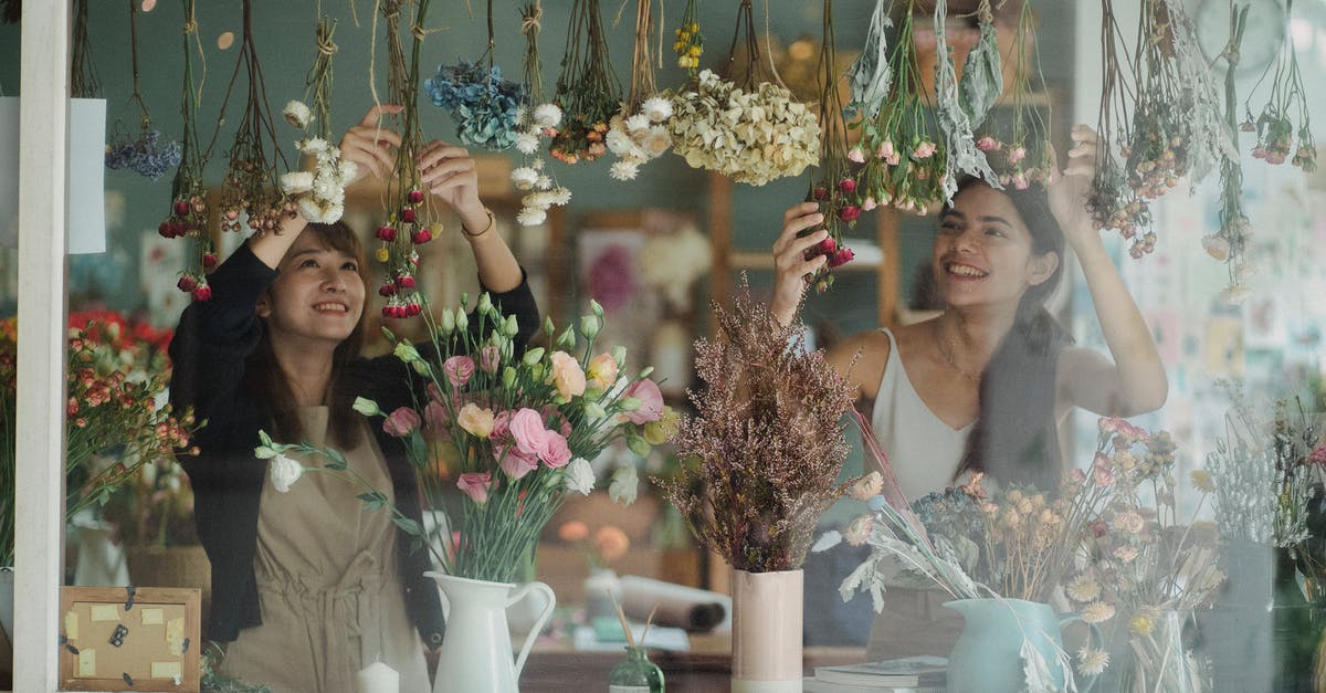 How to work with Dried Mushrooms? - Through glass of cheerful florists creating cozy counter in floristry store How to work with Dried Mushrooms? - Through glass of cheerful florists creating cozy counter in floristry store