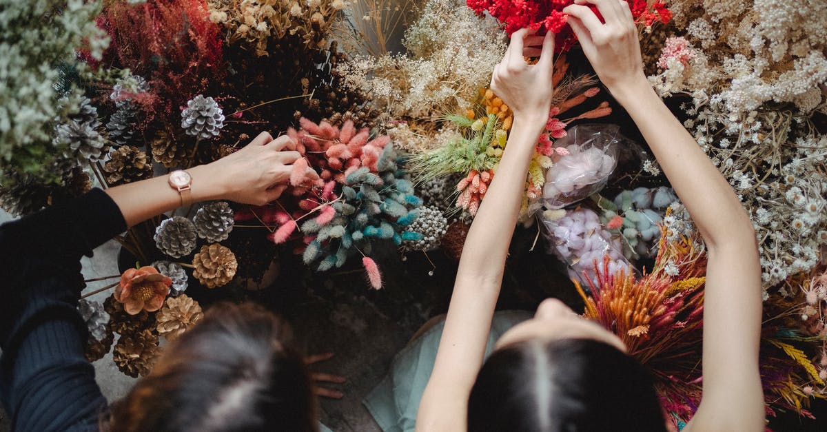 How to work with Dried Mushrooms? - Women choosing dried flowers for arrangement How to work with Dried Mushrooms? - Women choosing dried flowers for arrangement