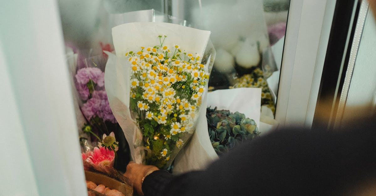 I accidentally put my canned tuna in the fridge - Crop faceless female florist putting bouquets of flowers in fridge while working in floral shop I accidentally put my canned tuna in the fridge - Crop faceless female florist putting bouquets of flowers in fridge while working in floral shop