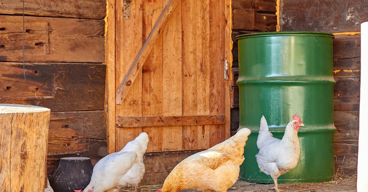 I Froze chicken breast and took it out a day earlier? Is it still safe to eat? - Chickens Near Brown Wooden Door I Froze chicken breast and took it out a day earlier? Is it still safe to eat? - Chickens Near Brown Wooden Door