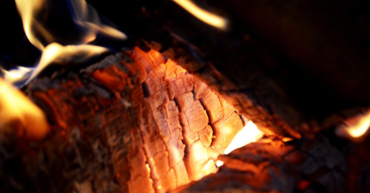 Ignition temperature of most foods , or maximum theoretical cooking temperature ? Read below? [closed] - Fireplace Illustration
