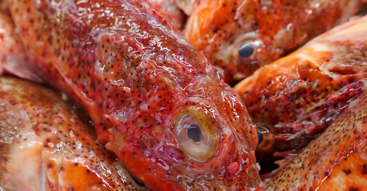 In a restaurants' kitchen in SC, is it DHEC approved to store raw meat next to ready to eat food? - Orange and Red Fish in Pack In a restaurants' kitchen in SC, is it DHEC approved to store raw meat next to ready to eat food? - Orange and Red Fish in Pack