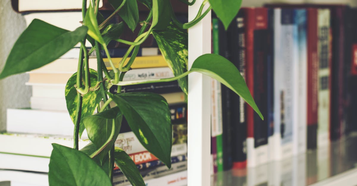 Information regarding Brassica juncea var. rugosa (芥菜) and it's bitter leaves - Books on Rack Information regarding Brassica juncea var. rugosa (芥菜) and it's bitter leaves - Books on Rack