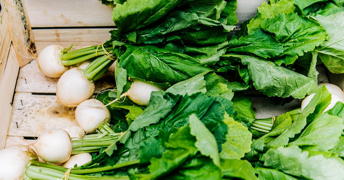 Ingredients of Root Beer - White Radishes Ingredients of Root Beer - White Radishes