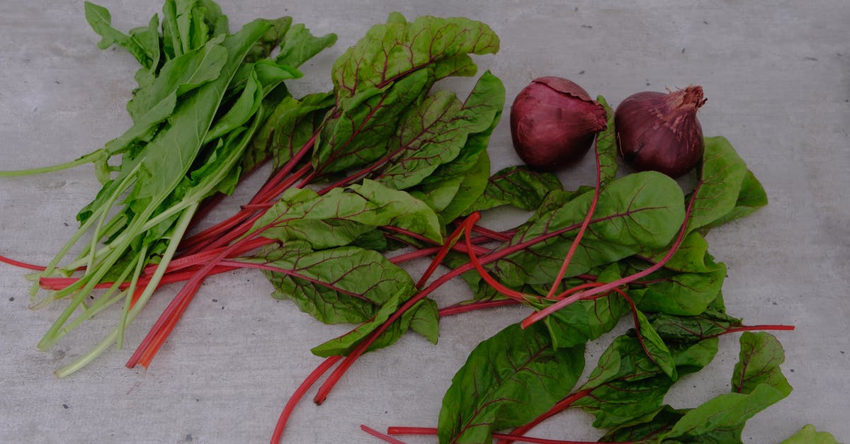 Ingredients of Root Beer - Red Onions and Green Leaves Ingredients of Root Beer - Red Onions and Green Leaves