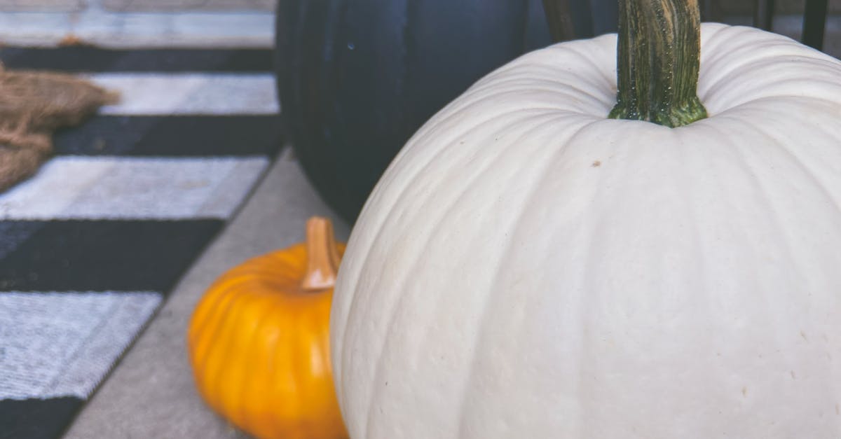 Is Bottle gourd and white pumpkin same? - Close-Up Photo of a White Pumpkin Is Bottle gourd and white pumpkin same? - Close-Up Photo of a White Pumpkin