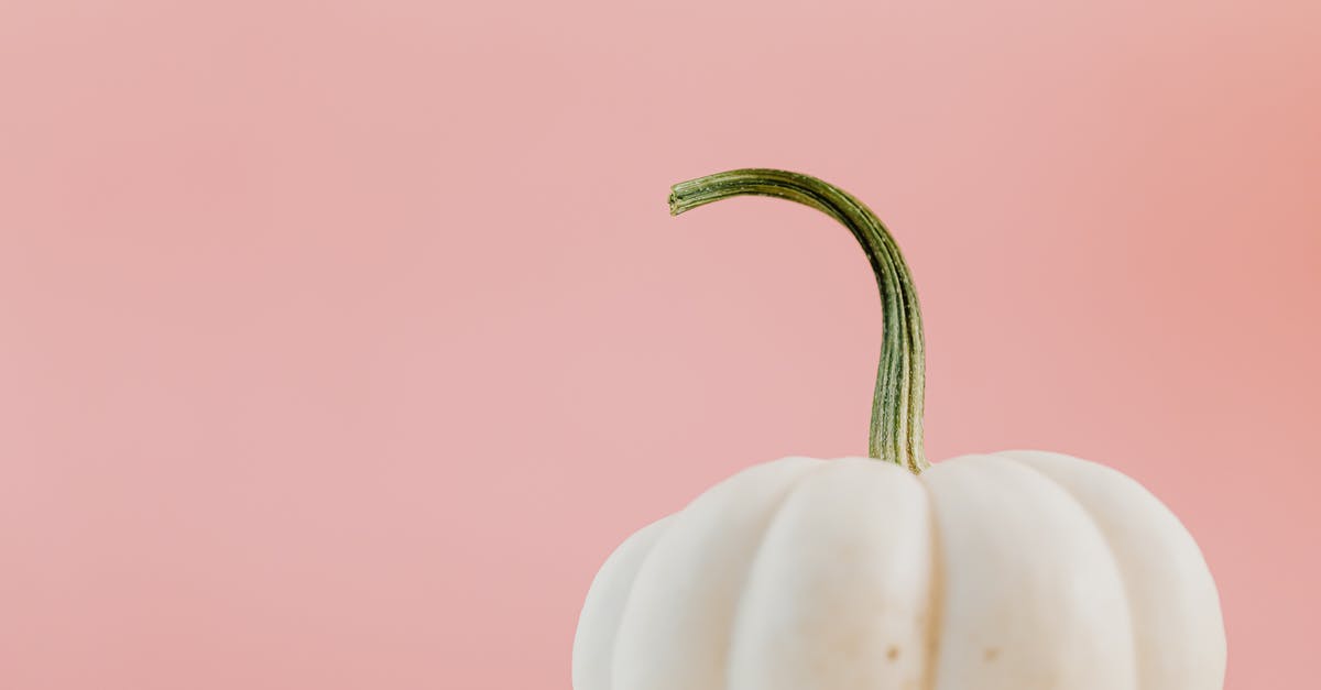 Is Bottle gourd and white pumpkin same? - Close-up Shot of a White Pumpkin Is Bottle gourd and white pumpkin same? - Close-up Shot of a White Pumpkin