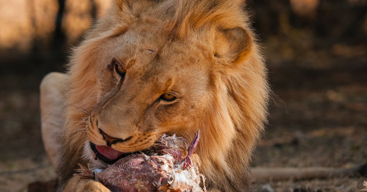 Is eating soap or bleach dangerous? - Lion Eating Flesh Is eating soap or bleach dangerous? - Lion Eating Flesh