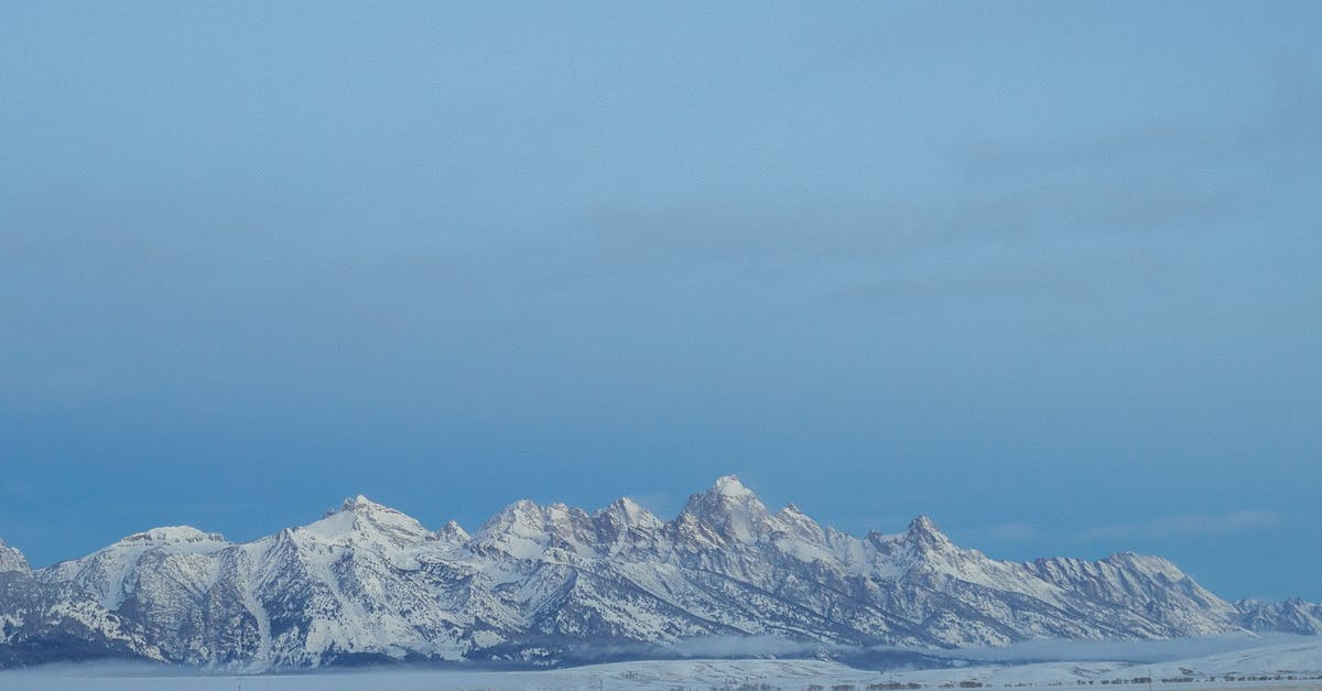 Is free-range veal available in the US? - Grand Tetons in the Winter Is free-range veal available in the US? - Grand Tetons in the Winter