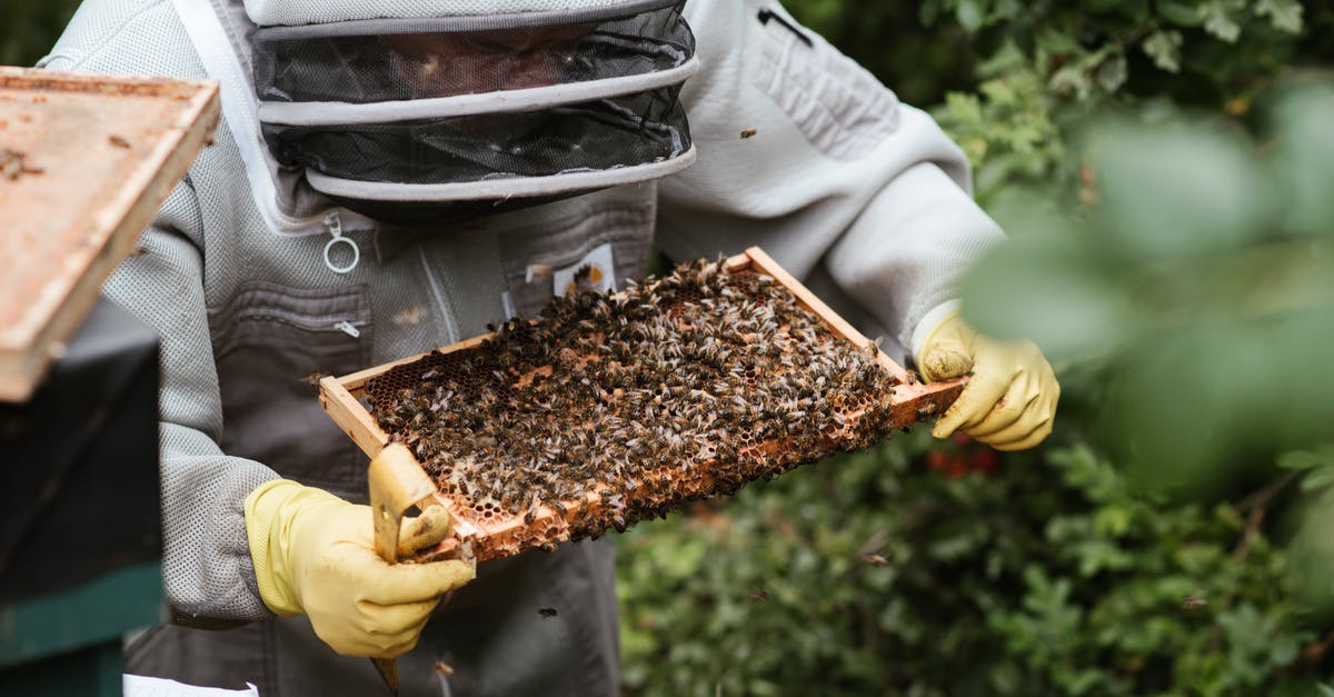 Is honey considered vegan? - Crop unrecognizable farmer in uniform holding honeycomb with bees while working in countryside garden Is honey considered vegan? - Crop unrecognizable farmer in uniform holding honeycomb with bees while working in countryside garden