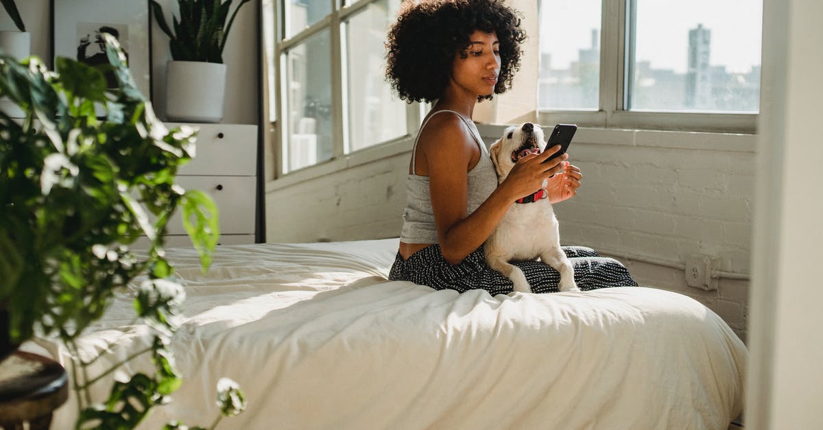 Is it better to use soft or hard ladyfingers when making tiramisu? - Side view of young ethnic female watching cellphone while sitting on bed with dog at home