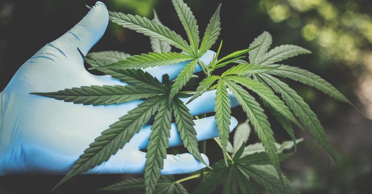 Is it obvious when an oil reaches its smoking point? - Person Holding Green Canabis Is it obvious when an oil reaches its smoking point? - Person Holding Green Canabis