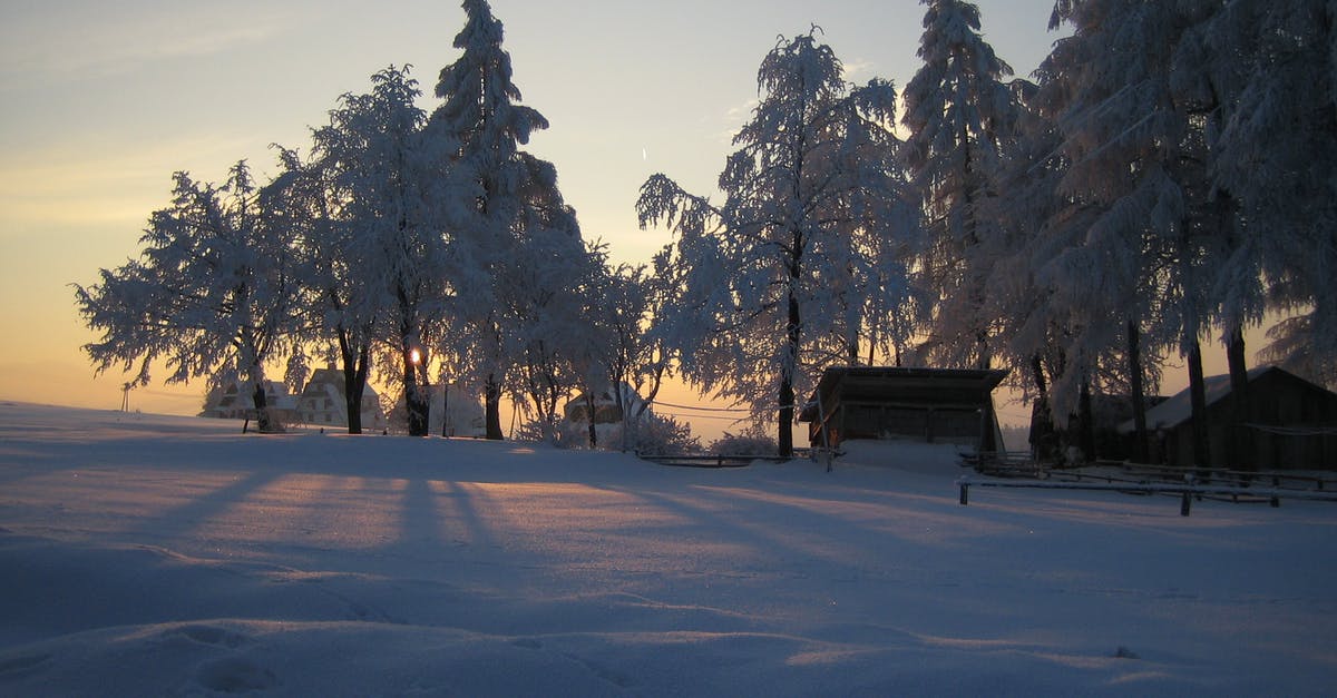 is it okay to freeze calamari after cooking, even though it was frozen at time of purchase? - Snow covered field and trees in remote rural area with wooden buildings and fence in soft sunlight