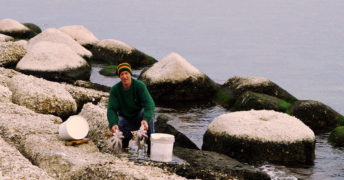 Is it okay to leave cooked octopus in water till next morning? - Photography of a Man Holding Two Octopus