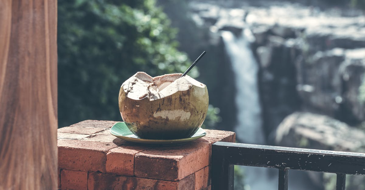 Is it possible to ferment fresh coconut or its water? - Brown Coconut Is it possible to ferment fresh coconut or its water? - Brown Coconut