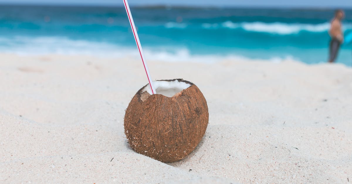 Is it possible to ferment fresh coconut or its water? - Brown Coconut on Sand Is it possible to ferment fresh coconut or its water? - Brown Coconut on Sand