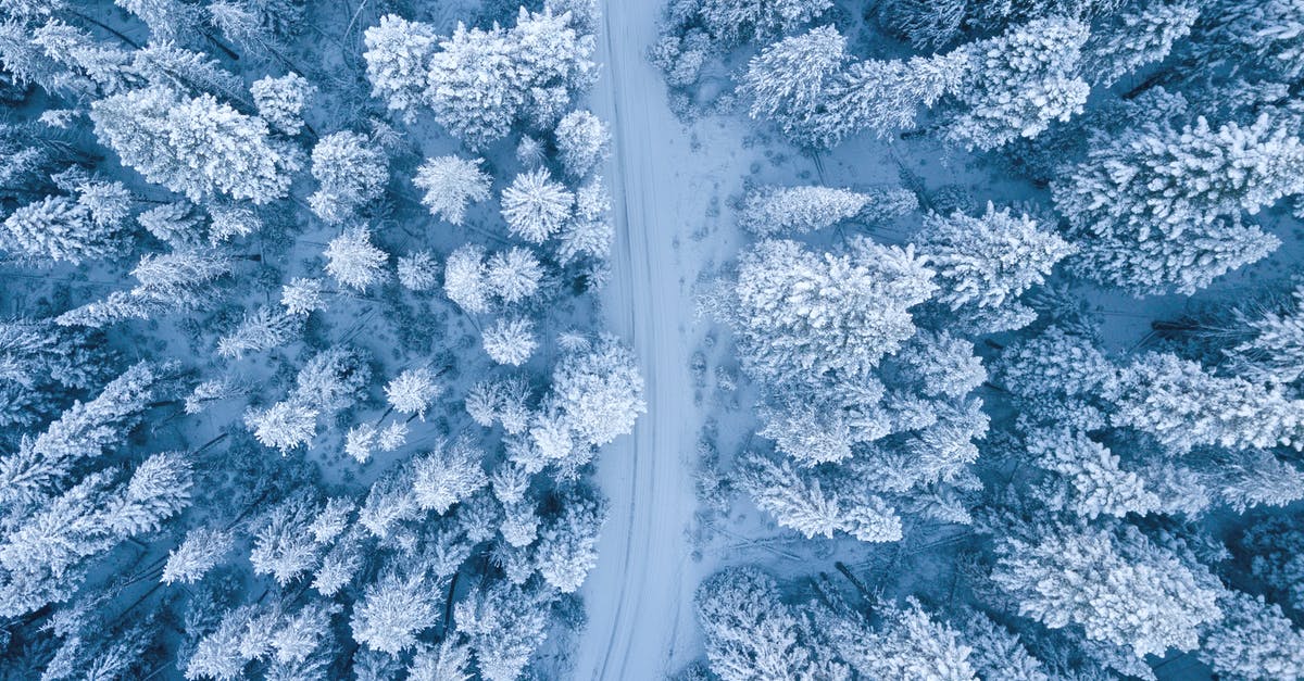Is it possible to freeze chocolate covered ants? - Aerial Photography of Snow Covered Trees Is it possible to freeze chocolate covered ants? - Aerial Photography of Snow Covered Trees
