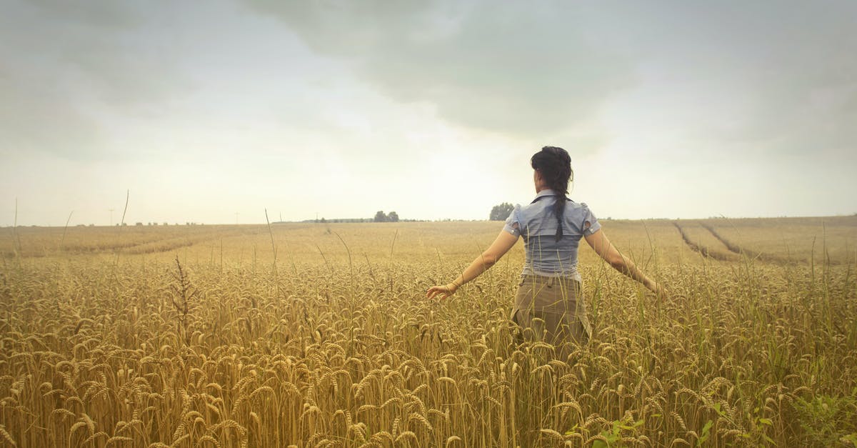 Is it possible to turn Rice Krispies back into rice? - Woman Standing on Rice Field during Cloudy Day Is it possible to turn Rice Krispies back into rice? - Woman Standing on Rice Field during Cloudy Day