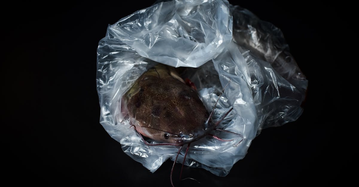 Is it safe to eat freshwater fish raw? - A Catfish Inside A Plastic Bag Is it safe to eat freshwater fish raw? - A Catfish Inside A Plastic Bag