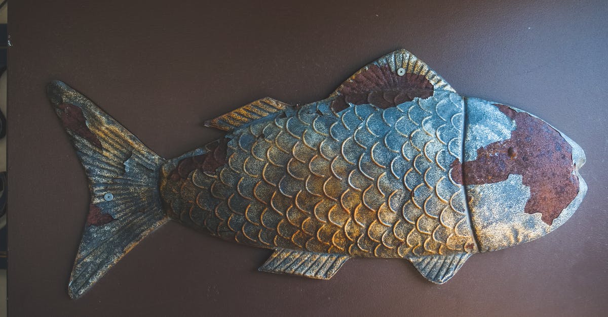 Is it safe to eat freshwater fish raw? - Free stock photo of animal, aquarium, art Is it safe to eat freshwater fish raw? - Free stock photo of animal, aquarium, art