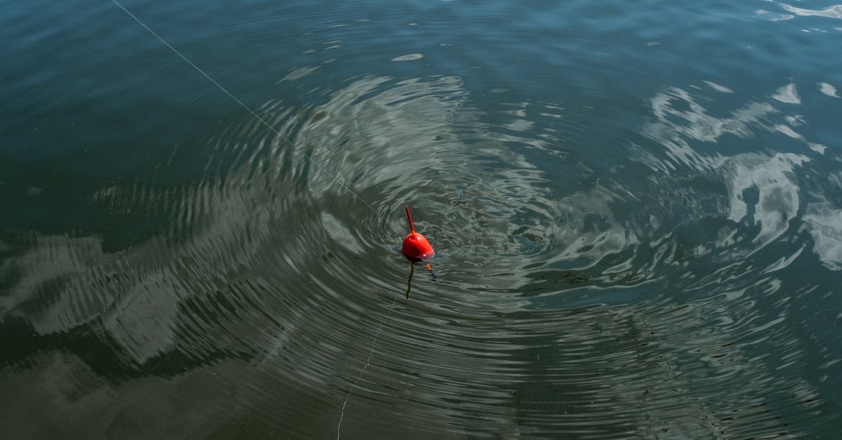 Is it worth making Thai red curry paste from scratch - Red Float Making Circles on Water in Lake Is it worth making Thai red curry paste from scratch - Red Float Making Circles on Water in Lake
