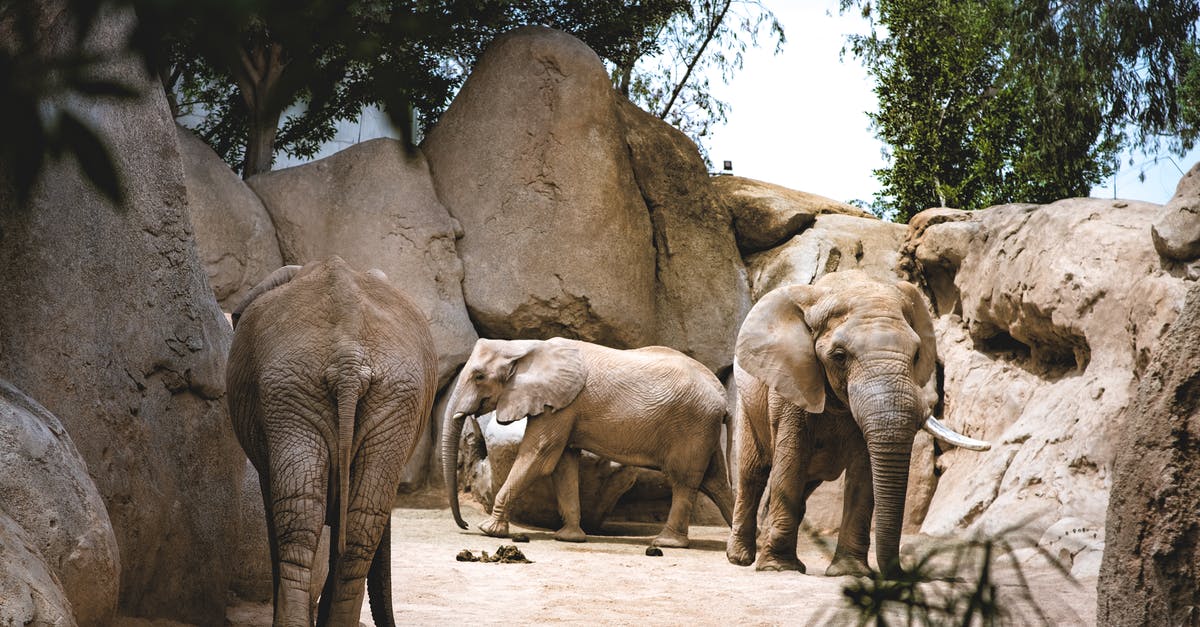 Is marinade safe if it has had incidental contact with meat? - Three Elephants Walking on Sand Is marinade safe if it has had incidental contact with meat? - Three Elephants Walking on Sand