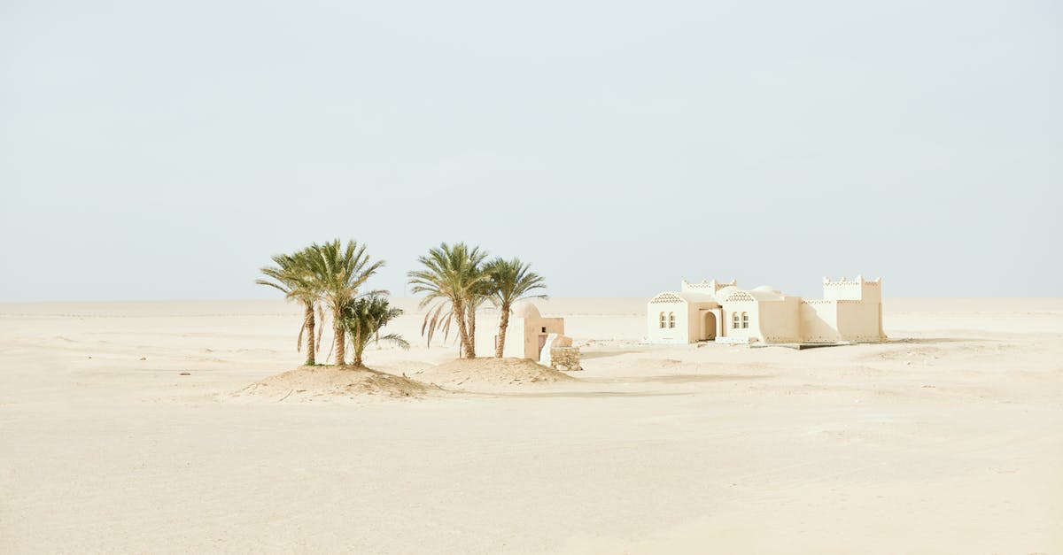 Is Microwaving considered dry heat or moist heat and why? - Palm Tree Near White Concrete Building Is Microwaving considered dry heat or moist heat and why? - Palm Tree Near White Concrete Building