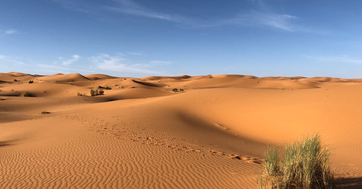 Is Microwaving considered dry heat or moist heat and why? - Green Grasses on Sahara Desert Is Microwaving considered dry heat or moist heat and why? - Green Grasses on Sahara Desert