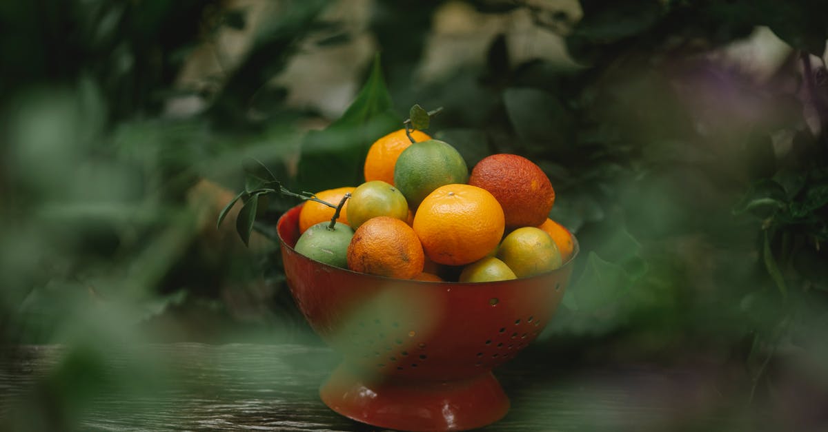 Is my vegan icing shelf stable? - View through blurred foliage of fresh ripe oranges and mandarins with other exotic fruits placed in red colander on wooden shelf Is my vegan icing shelf stable? - View through blurred foliage of fresh ripe oranges and mandarins with other exotic fruits placed in red colander on wooden shelf