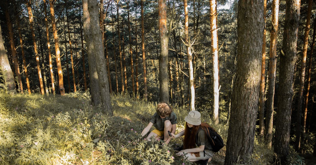 Is my wild yeast starter a throwaway or salvageable? - 2 Women Sitting on Grass Field Surrounded by Trees Is my wild yeast starter a throwaway or salvageable? - 2 Women Sitting on Grass Field Surrounded by Trees