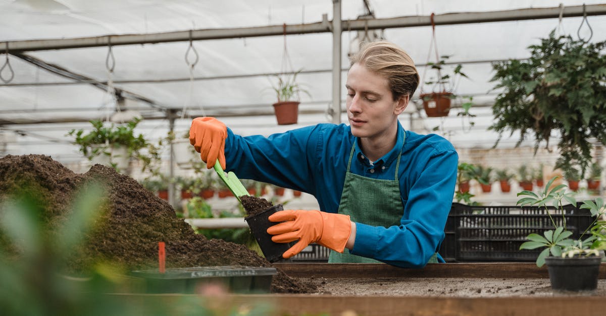 Is putting pots on the stove without oil or water damaging the pot? - Man Putting Soil on the Black Pot Is putting pots on the stove without oil or water damaging the pot? - Man Putting Soil on the Black Pot