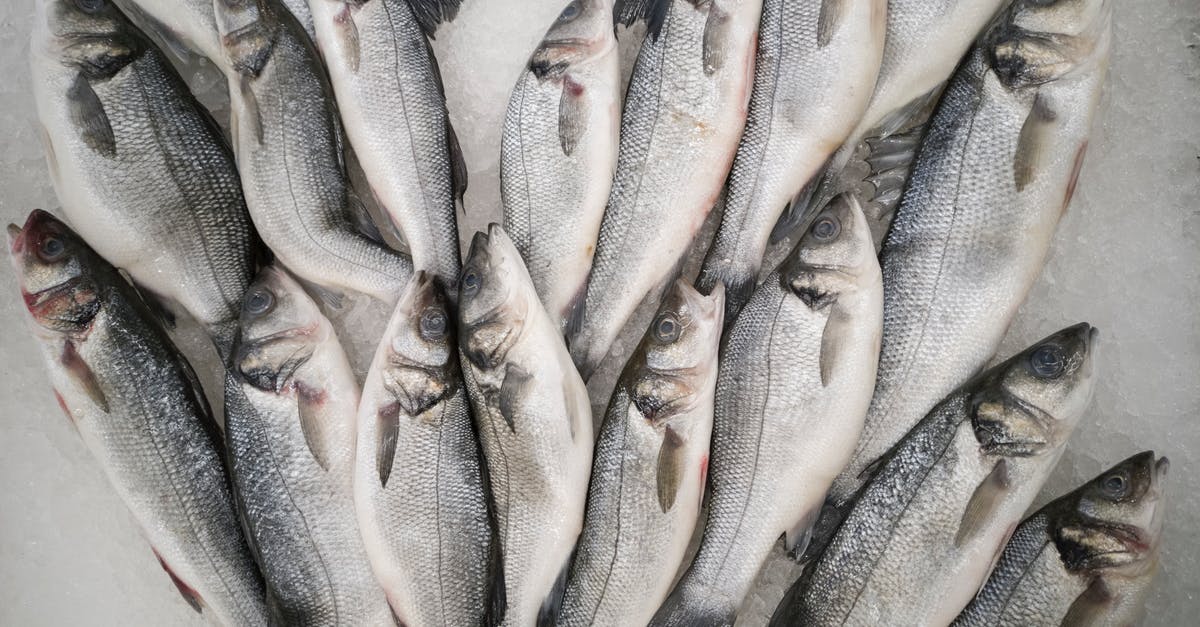 Is refrigerated seafood fresher than seafood displayed on ice but uncovered? - Bunch of Grey Fish Is refrigerated seafood fresher than seafood displayed on ice but uncovered? - Bunch of Grey Fish