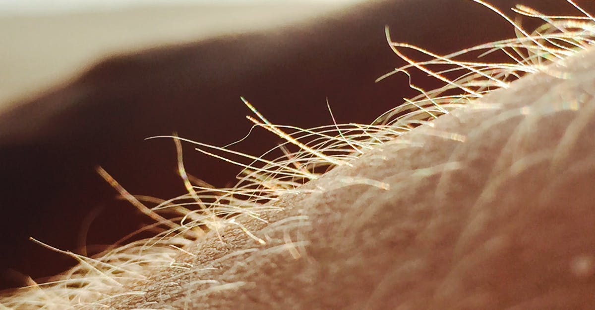 Is the hairy skin below a chestnut’s tough skin poisonous? - Micro Photography of Human Skin Is the hairy skin below a chestnut’s tough skin poisonous? - Micro Photography of Human Skin