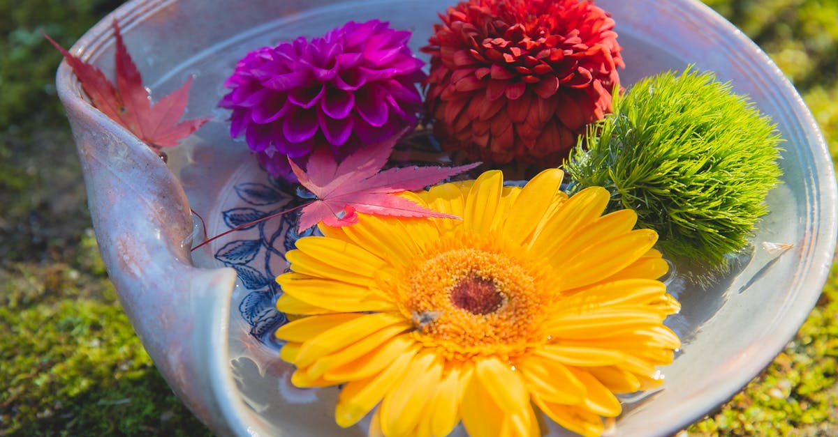 Is there a big difference between Yellow and Yukon Gold potatoes? - Different fresh flowers in water in vase Is there a big difference between Yellow and Yukon Gold potatoes? - Different fresh flowers in water in vase