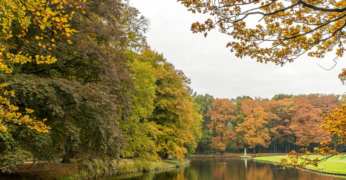 Is there a big difference between Yellow and Yukon Gold potatoes? - Pond in Park in Autumn Is there a big difference between Yellow and Yukon Gold potatoes? - Pond in Park in Autumn
