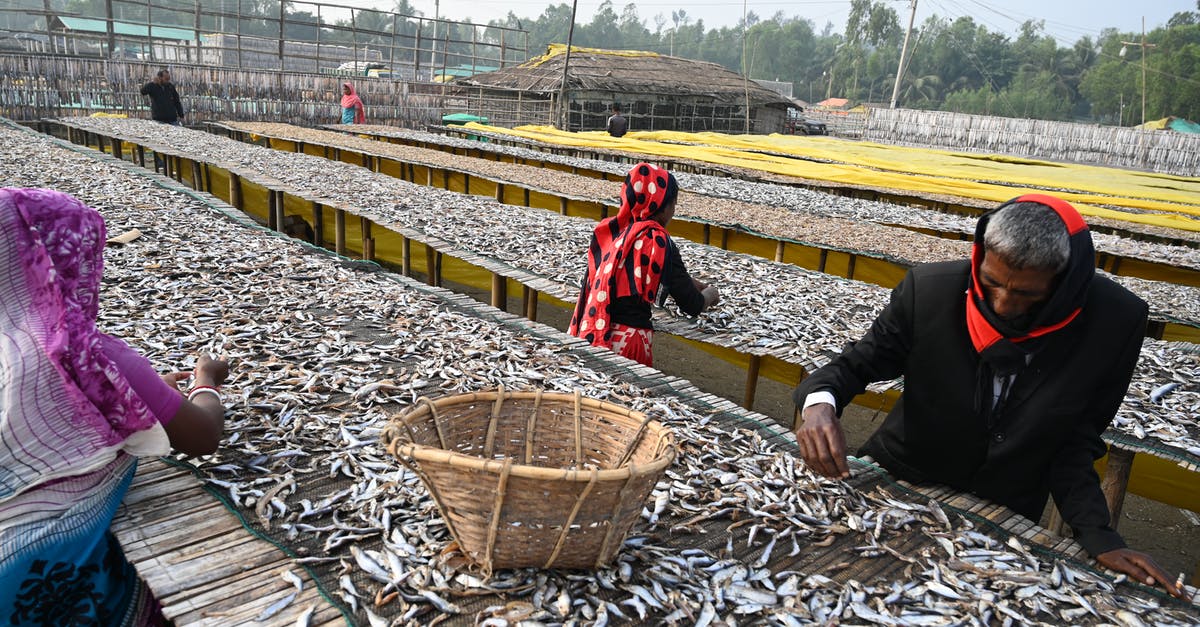 Is there a resource on food prep times for labor costing? - People Working Sorting Dry Fish Is there a resource on food prep times for labor costing? - People Working Sorting Dry FishÂ