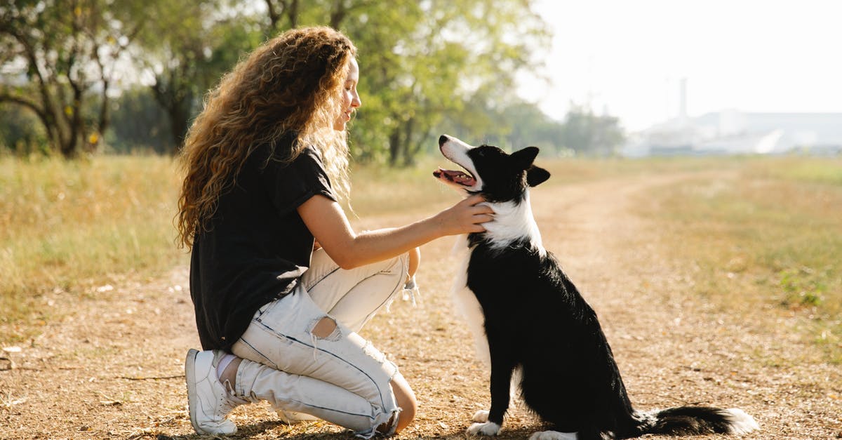 Is there a way predict proving times of dough (without experience)? - Full body side view of female owner caressing cute black Border Collie on rural road in countryside on summer day Is there a way predict proving times of dough (without experience)? - Full body side view of female owner caressing cute black Border Collie on rural road in countryside on summer day